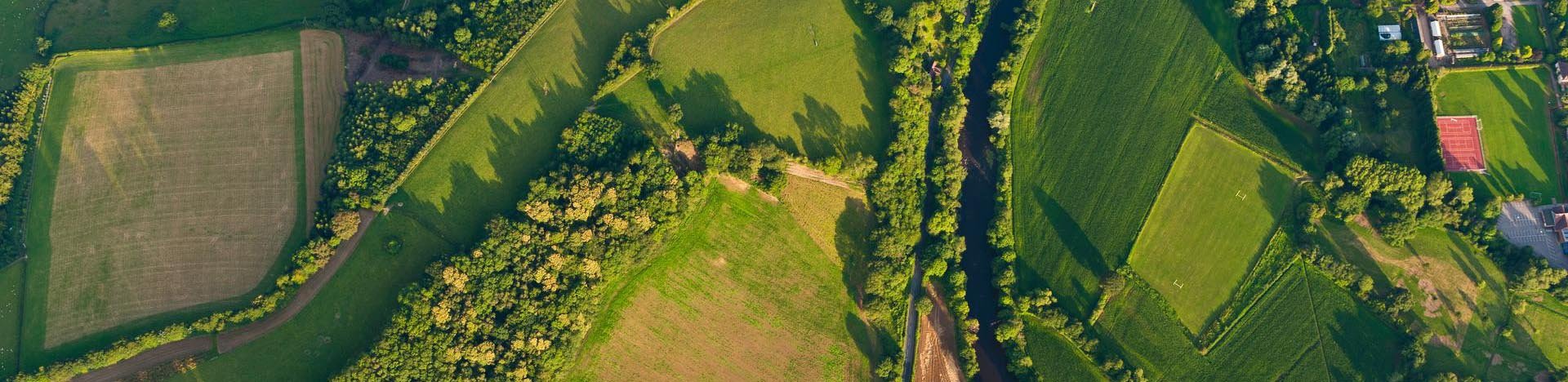 Accéder au site du MFR de Saint Léopardin d'Augy